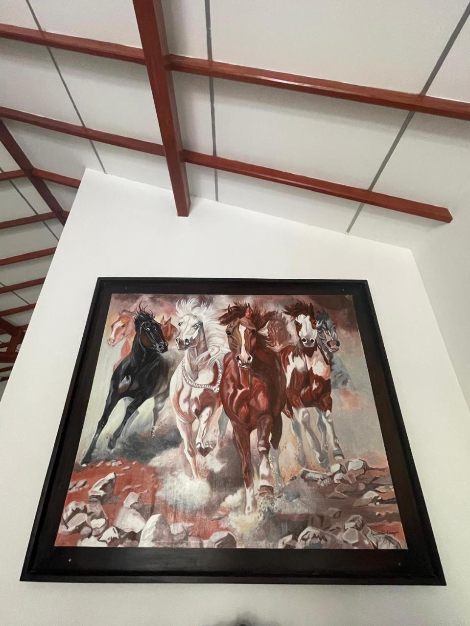מלון היקדואה White Horse מראה חיצוני תמונה